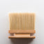 Caddie Brush